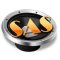 SAS House Radio logo