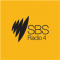 SBS Football 1 logo
