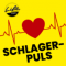 Schlagerpuls logo