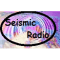 Seismic Radio NT logo