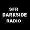 Sfr Radiogalaxy logo