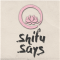 Shifu Says logo