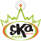 SKA RADIO logo