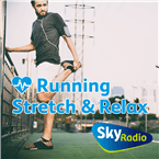 Sky Radio Non-Stop@Work logo