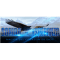 Sonido de Esperanza logo
