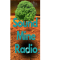 Sound Mine Radio logo