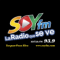 Soy FM 939 logo