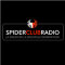 Spider Club radio logo