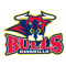 SportsJuice - Amarillo Bulls logo