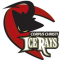 SportsJuice.com - Corpus Christi IceRays logo