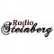 Steinberg logo