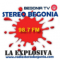 Stereo Begonia 987 fm logo