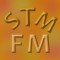 Stm logo