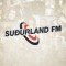 Sudurland FM 96.3 logo