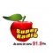 Super Radio Guatemala logo