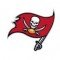 Tampa Bay Buccaneers logo