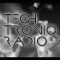 Techtronic logo