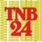 THE NEWSBULLETIN24 logo