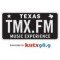 TMX logo