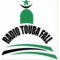 TOUBAFALL FM logo