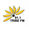 Tribe FM logo