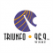 Triunfo FM logo