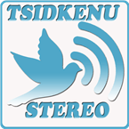 TSIDKENU STEREO logo