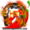 Uragon Hot Radio 99.8 logo
