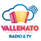 Vallenato Internacional logo