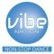 Vibe Nation logo