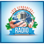 VID RADIO logo