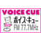 VOICE CUE logo