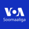 Voice of America Somali logo