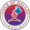 Voice of Galilee Radio logo