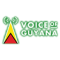 Voice of Guyana logo