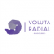 Voluta Radial logo