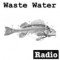 Wastewatermusic logo