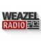 Weazel logo