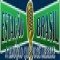 Web Rádio Estacao Brasil logo