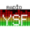 YSF logo