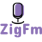 ZigFm logo